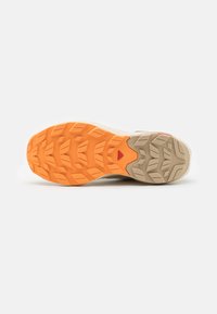 Salomon ELIXIR ACTIV GTX  - Obuća za pješačenje - falcon/white pepper/papaya