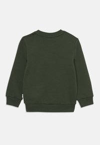 Sweatshirt vert, en coton, col ras du cou, manches longues, poignets et ourlet côtelés, sans motifs ni imprimés, couleur unie, image de marque minimale.