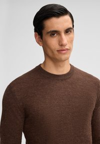 Pull en maille marron fabriqué dans un matériau doux, avec un col rond et des manches longues, offrant une coupe régulière.