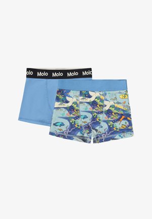 Divi puišu bokseršortiem, viens vienkrāsains gaiši zils ar melnu jostu un otrs ar krāsainu zemūdens jūras dzīves rakstu.