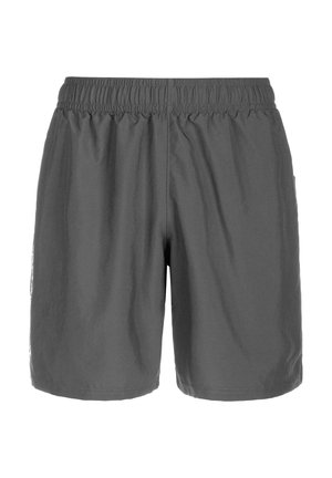 TECH WOVEN WORDMARK - Sports shorts - castlerock   white