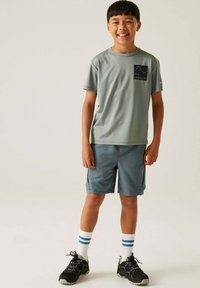 Dare 2B ALVARADOIX - T-Shirt print - glacier