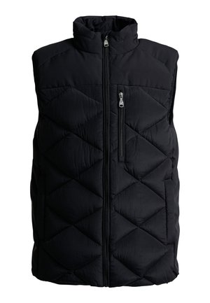 Zwart gewatteerd mouwloos vest met hoge kraag, ritssluiting aan de voorkant en verticale borstzak met rits, geïsoleerd op een witte achtergrond.