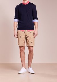 Námořnický svetr, světle modré manžety, růžová košile s límečkem, khaki šortky s barevným výšivkou a bílé tenisky.