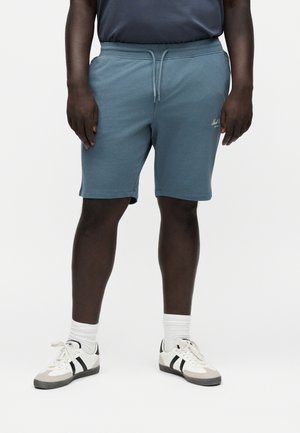 Partie inférieure du corps d'une personne portant un short bleu à cordon, des chaussettes blanches et des baskets blanches avec des rayures noires, debout sur un fond blanc uni.