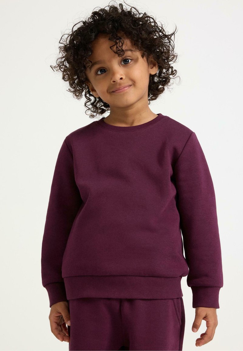 Lila Baumwollsweatshirt mit rundem Halsausschnitt, langen Ärmeln und gerippten Säumen und Saum. Einfaches Design, weiche Textur und lockere Passform.