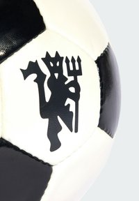 Imagen en miniatura 2