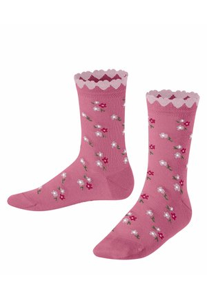 Chaussettes - tea rose
