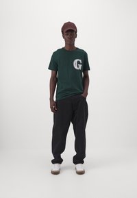 GANT GRAPHIC - Camiseta estampada - tartan green