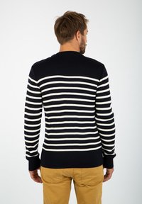 Maglione a righe blu navy e bianche con texture a coste. Presenta maniche lunghe e scollo rotondo. Silhouette leggermente aderente.