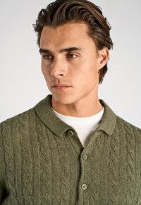 Olijfgroene gebreide poloshirt met kabelbreipatroon, voorzien van een omgevouwen kraag en twee knopen. Draagt over een wit overhemd.