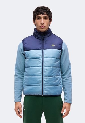 Homme portant une doudoune sans manches bleu marine et bleu clair par-dessus une chemise à manches longues bleu clair et un pantalon vert foncé, debout devant un fond uni.