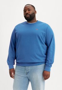 Blue sweatshirt with a crew neckline, long sleeves, ribbed cuffs, and a small red logo on the chest, paired with light blue jeans.