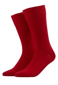 HAPPY 2-PACK EVERYDAY CASUAL - Socken - scarlet