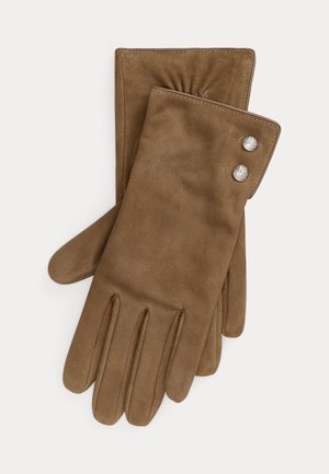 CREST-BUTTON-TRIM SHEEPSKIN SUEDE GLOVES - Gants - taupe