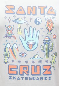 Γραφικό μπλουζάκι με ανοιχτό γκρι φόντο. Διαθέτει πολύχρωμες απεικονίσεις ενός χεριού, μιας κουκουβάγιας, ενός ψαριού, ενός κάκτου, βουνών και επωνυμίας σκέιτμπορντ.