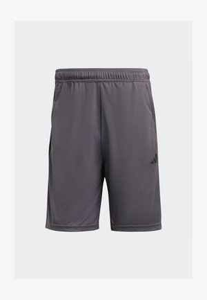 Gray athletic shorts with an elastic waistband, two side pockets, and a small black logo on the lower right leg. Lightweight fabric.