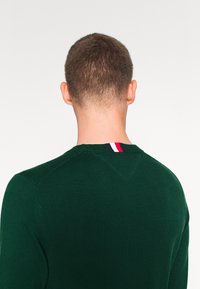 Vihreä neulottu villapaita pyöreällä kaula-aukkolla, jossa on raidallinen koriste takana niskassa punaista, valkoista ja sinistä. Kapealahkeinen malli.