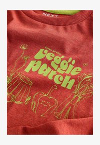 Selected, red veggie patch