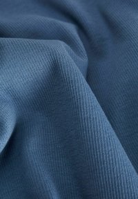 JJXX JXFREYA RIB TEE - Pitkähihainen paita - coronet blue