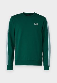 Nepasirinkta, evergreen