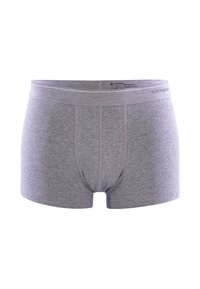 Boxer da uomo grigi realizzati in un tessuto morbido e elastico. Presentano una vita senza cuciture e dettagli cuciti sulla parte anteriore e sui lati.