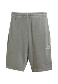 Gray athletic shorts made of soft fabric, featuring an elastic waistband, small slits at the sides, and a subtle three-stripe logo detail.