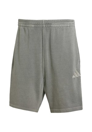 Grå atletiska shorts gjorda av mjukt tyg, med elastisk midja, små slitsar på sidorna och en subtil detalj med tre ränder.