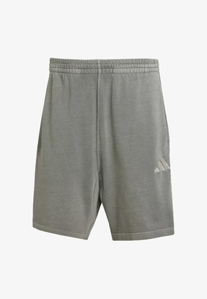 Gray athletic shorts made of soft fabric, featuring an elastic waistband, small slits at the sides, and a subtle three-stripe logo detail.