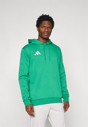 ENTRADA26 HOODIE - Kapucnis pulóver - team green/white