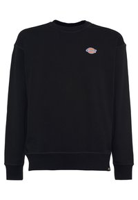 Dickies - MILLERSBURG - Sweatshirt - nero Miniatyrbild 1