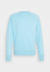 Sudadera azul claro hecha de una mezcla suave de algodón, con cuello redondo, mangas raglán largas y puños y dobladillo acanalados.