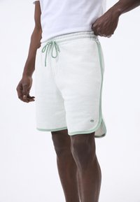 Pantaloni corti grigi chiari con una texture morbida, dettagli verdi lungo la vita e l'orlo, dotati di un cordoncino e di un logo del marchio discreto sul lato.