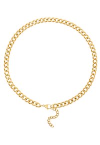 Collier en chaîne en ton or avec des maillons entrelacés, doté d'un fermoir à homard et d'une petite chaîne d'extension pour un ajustement de la longueur.