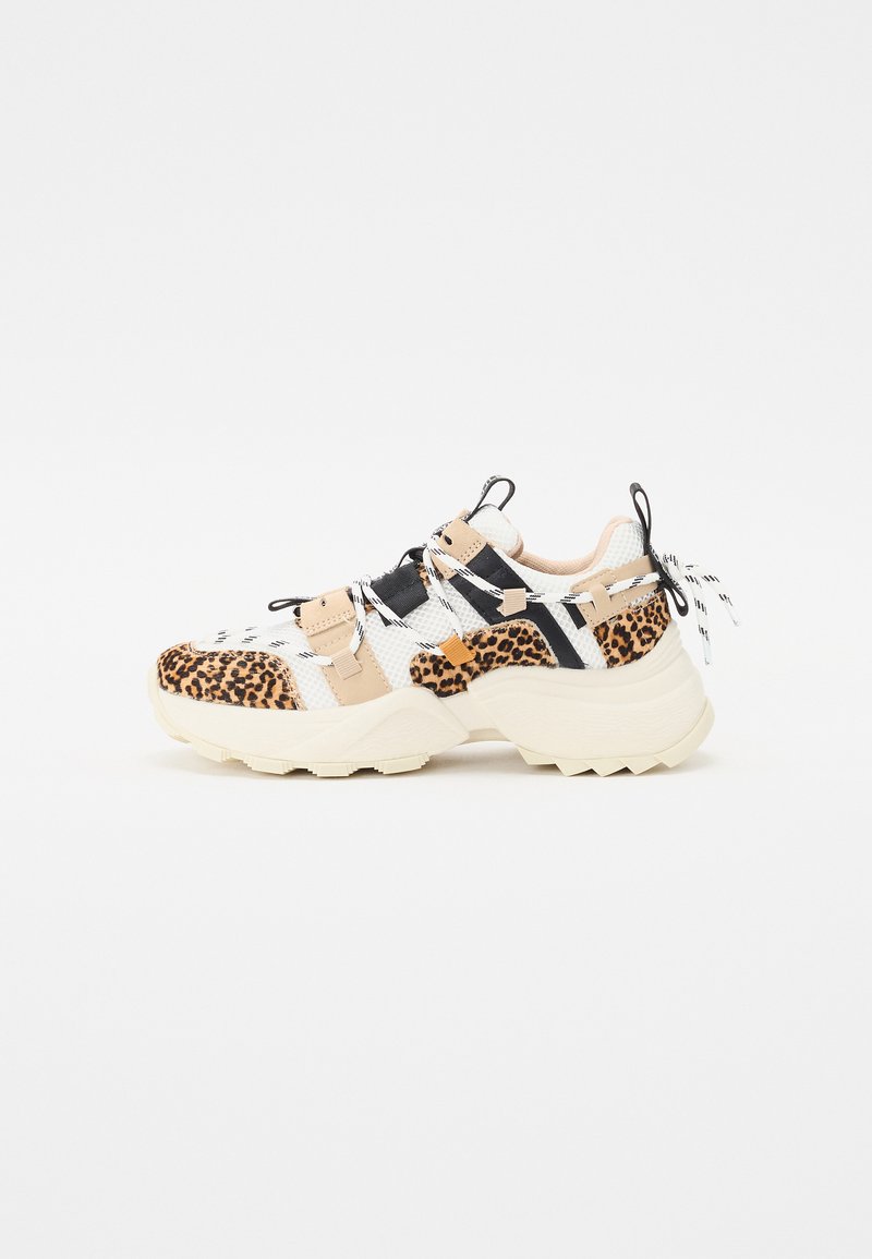 Steve Madden TAZMANIA - Trainers - brown