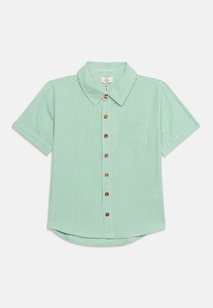 Chemise vert menthe à manches courtes avec des rayures verticales blanches, boutons marron sur le devant, col pointu et poche poitrine côté droit.