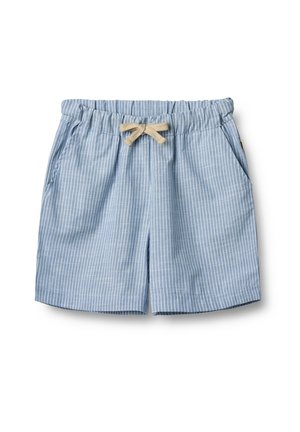 Shorts - blue stripe