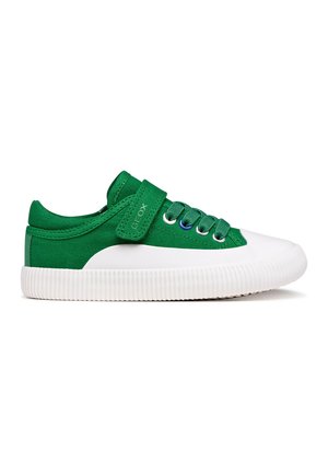 Zapatilla de lona verde con suela de goma blanca, puntera blanca, cordones verdes y una correa ajustable de velcro sobre fondo blanco.