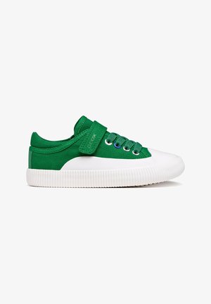 Zapatilla de lona verde con suela de goma blanca, puntera blanca, cordones verdes y una correa ajustable de velcro sobre fondo blanco.