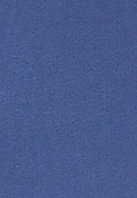 Tessuto blu uniforme con una texture liscia e una finitura leggermente opaca. Nessun motivo visibile o dettagli decorativi.