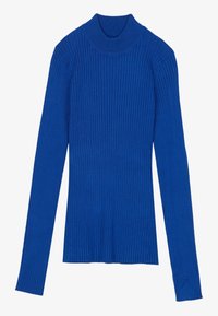 Blau gestreiftes Langarm-Turtleneck-Oberteil aus dehnbarem Stoff, mit einer taillierten Silhouette und glatter Textur.