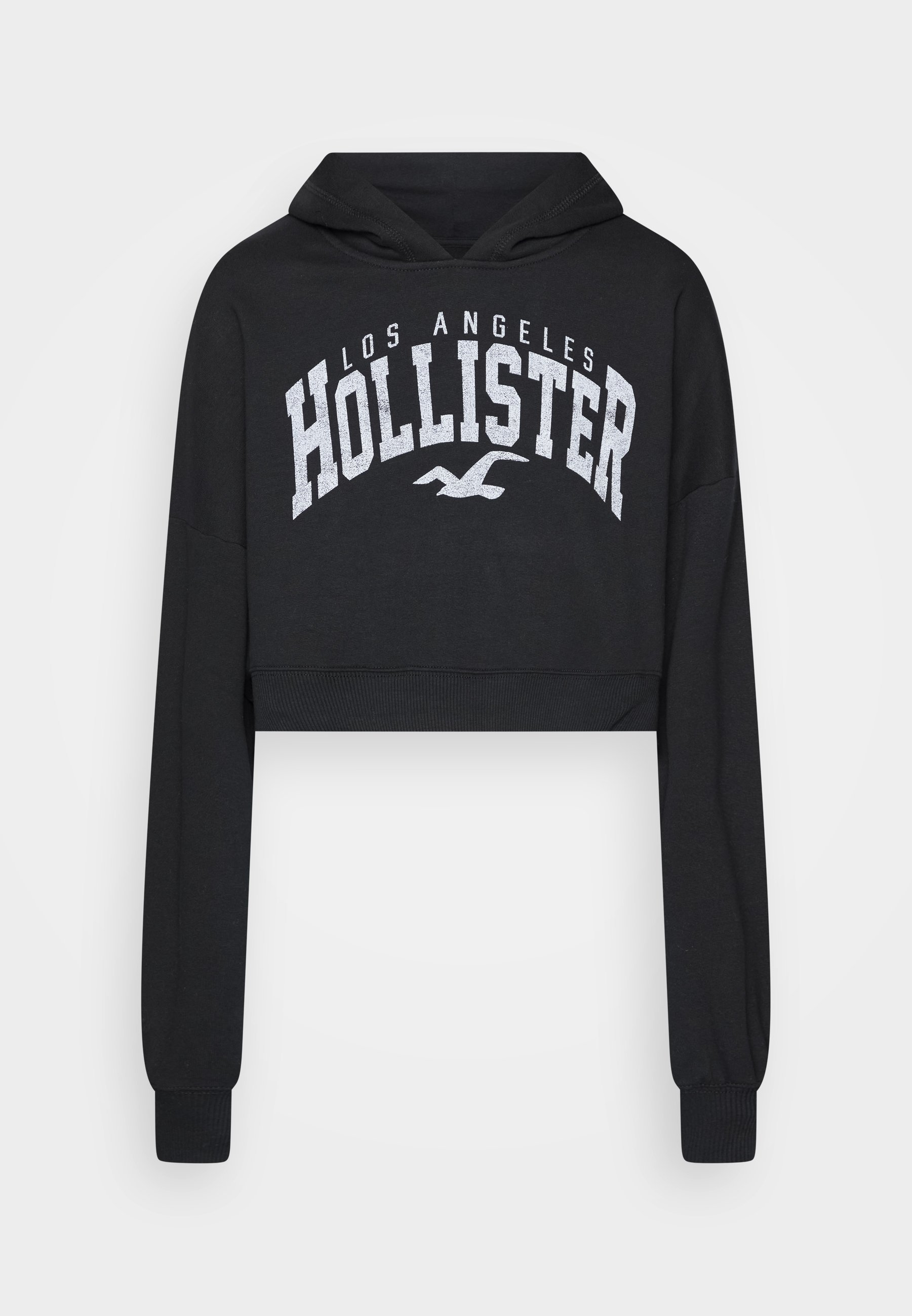 hollister paris