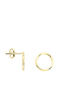 Orecchini a cerchio in oro con una superficie liscia e lucidata, dotati di chiusura a perno e farfallina. Forma circolare, di dimensioni medie, design leggero.