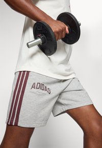 Szürke sportos rövidnadrág, bordó háromcsíkos mintával és "ADIDAS" logóval. A személy egy fekete súlyzót tart, sportos megjelenést kölcsönözve.