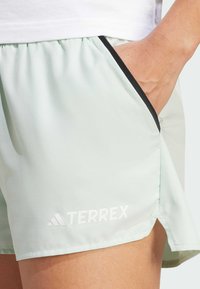 Pantalones cortos de color verde menta claro, hechos de una tela texturizada, con bolsillos laterales, ribete negro y un logo blanco "TERREX" en el dobladillo.