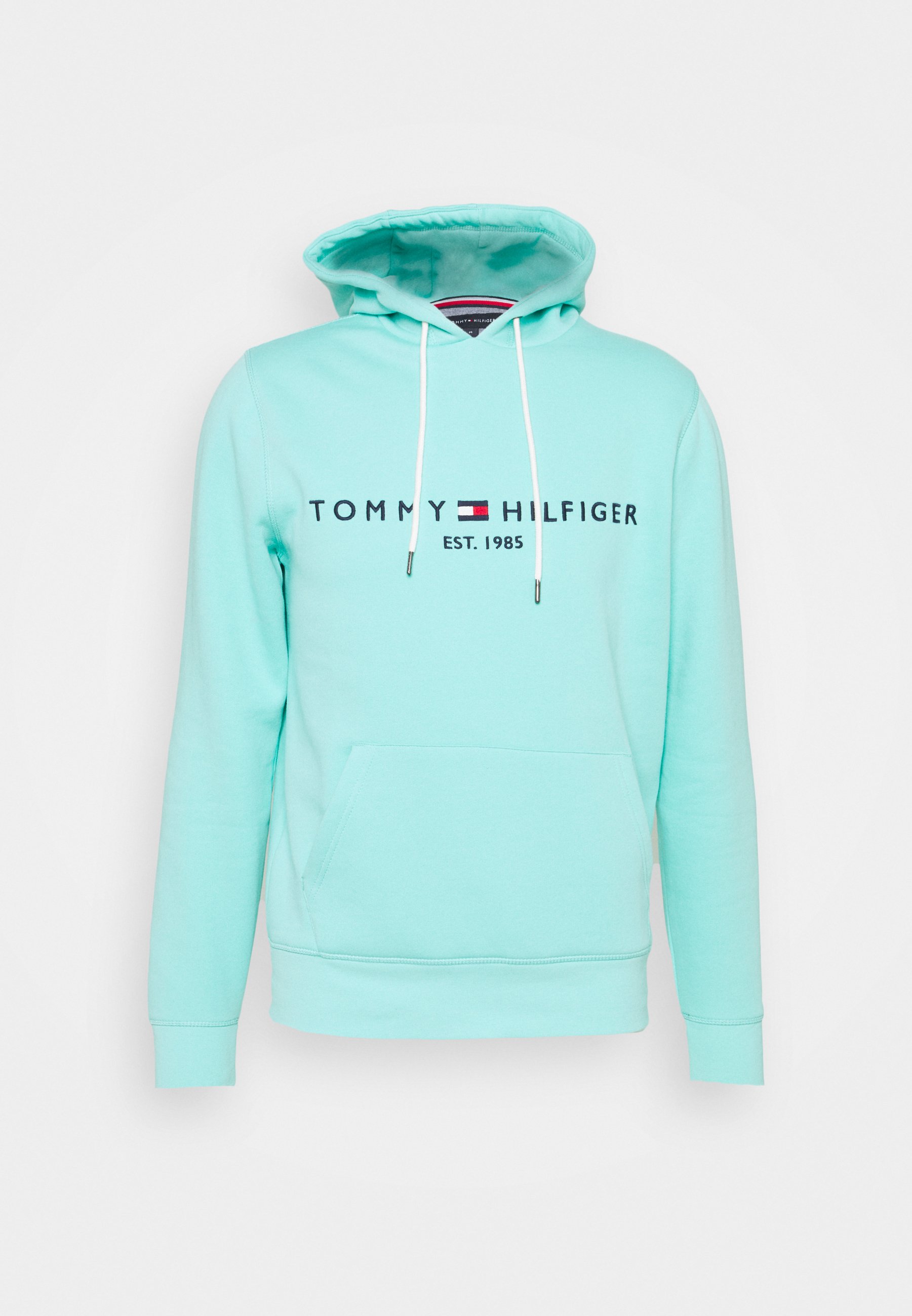 tommy hilfiger teal hoodie