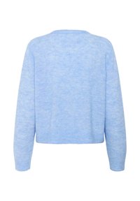 Pull court bleu clair, texture douce, col rond et manches longues avec des poignets et un ourlet côtelés. Design simple, sans détails supplémentaires.