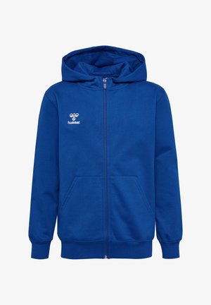 To børn iført blå hættetrøjer med lynlås, grå sweatpants og hvide sneakers, stående mod en ensfarvet lys baggrund.