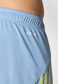 Helleblaue sportliche Shorts aus strukturiertem Stoff, mit elastischem Bund und grünen Designelementen am Saum. Die Marke liest sich "AERO EAD."