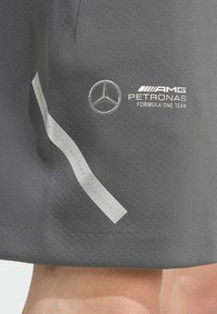 Grå stofshorts med en glat tekstur, med et hvidt Mercedes-logo og "AMG PETRONAS FORMULA ONE TEAM" trykt på siden.